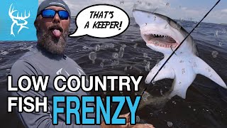 LOW COUNTRY FISH FRENZY  Offshore Fishing with Tombo  Day 1 [upl. by Ire153]