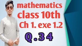 mathematics class 10th chapter 1 exercise 12 question 3 4 [upl. by Airlia274]