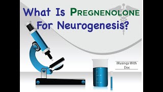 What is Pregnenolone and Why is It So Important For Repairing the Brain [upl. by Einal428]