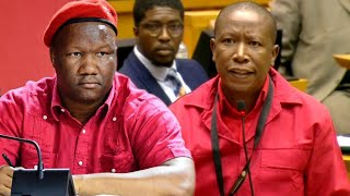 CIC Julius Malema “It is the ANC Who Started This Nonsense Of The Majority Party” [upl. by Dihsar]