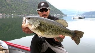 Bass Fishing sul Lugano [upl. by Dilly]