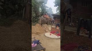 Hathi mere Sathi subscribe please [upl. by Annawal155]