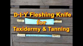 D I Y Taxidermy amp Tanning Fleshing Knife [upl. by Annavoj]