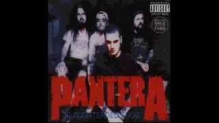 Pantera  Slaughtered Show Live  Osaka 050194 Disc 12 [upl. by Corson]