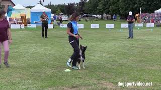 Qualifications – Emiliana Cirelli  Interforce Tsunami  Border Collie – ITALY [upl. by Phalan765]