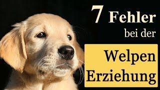 💕7 häufige Fehler der Welpenerziehung [upl. by Shelden310]