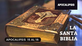 APOCALIPSIS 15 16 17 18 DÍA 323 LA SANTA BIBLIA  Audiolibro [upl. by Eimmelc803]