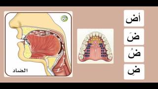 Practicing the letter ضاد [upl. by Eelyak]
