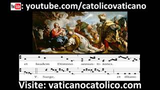 Omnes de Saba  Canto Gregoriano  Gregorian Chant [upl. by Chadwick]