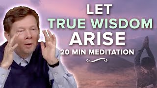 A Teaching on Inner Spaciousness 20 Minute Meditation with Eckhart Tolle [upl. by Hatcher]