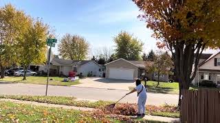 Fall Raking dried leaves [upl. by Anahsor]