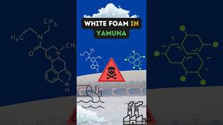 White foam in Yamuna 2024  Delhi Government  Toxic pollution yamuna delhi news viral shorts [upl. by Will]