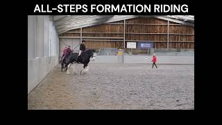 Swanley Livery 201024 AllSteps Formation Riding clinic [upl. by Shelden]