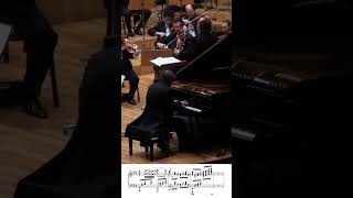 Moszkowski Piano Concerto No 2 [upl. by Deanna537]