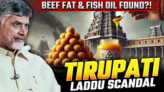 Animal Fat in Tirupati Laddu 😲  Tirupati Laddu Controversy Explained [upl. by Mighell704]