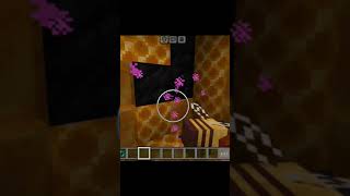 What is inside a bees nest in Minecraft minecraft bees fake memes [upl. by Suolhcin]