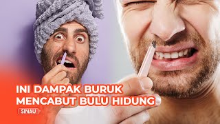 Ternyata Ini Dampak Buruk Mencabut Bulu Hidung [upl. by Dolph]