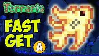 Terraria How To Get FLAREFIN KOI Fast 2024 [upl. by Kliman]