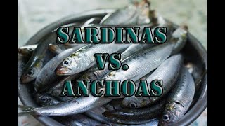 Sardinas vs Anchoas [upl. by Ahsaeym]