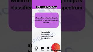 Broad Spectrum Antibiotics in Veterinary Medicine  Veterinary Quiz [upl. by Sielen]