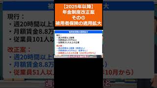 【2025年以降】年金制度改正案を解説！その②被用者保険の適用拡大 [upl. by Christen117]