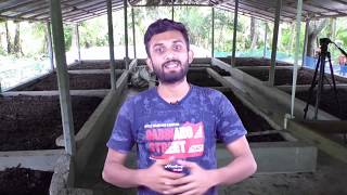 Vermicompost  How to Make Vermicompost Production Business with Low Investment [upl. by Juanita]