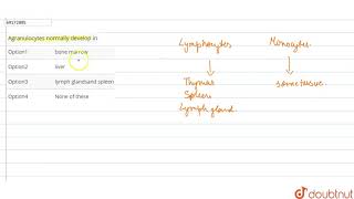 Agranulocytes normally develop in [upl. by Judas]