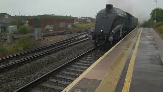 5z47 st Phillips marsh to bishops lydiard with sir Nigel at Bridgwater 5724 [upl. by Riem]