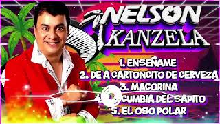 Nelson kanzela 🌈🍉 Puro Tecladistas Para Bailar [upl. by Pironi843]