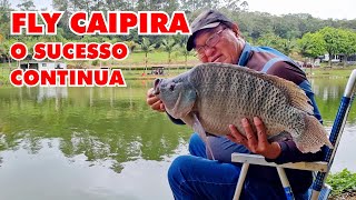 O SUCESSO CONTINUA  MUITOS PEIXES COM O FLY CAIPIRA  Pesq Pedra Branca  Nelson Chiba [upl. by Leanatan]