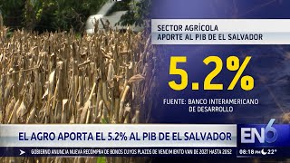 CUÁNTO PESA EL AGRO EN EL PIB DEL PAÍS [upl. by Jody]