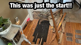 MY FUTURE EXHUSBAND DESTROYED OUR NEW HOUSE WITH A HAMMER AND PRYBAR [upl. by Opal286]