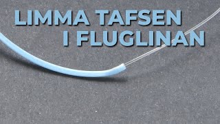 Limma tafsen till fluglinan [upl. by Llehcram451]