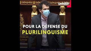 Pour la défense du plurilinguisme [upl. by Atiuqes]