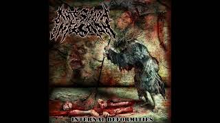 Intestinal Infection  Internal Deformities Full Album [upl. by Oirramaj]