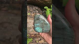 Labradorite Crystal brimming with light codes 🌟🌟 [upl. by Aldred986]