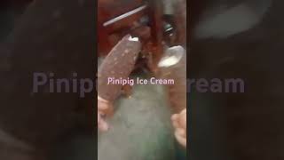 SUPER COLD PINIPIG IVE CREAM share shorts icecream [upl. by Ariahaj]