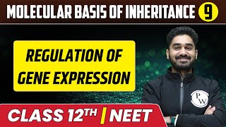 Molecular Basis Of Inheritance 09  Regulation of Gene Expression  Class 12thNEET [upl. by Jannel]