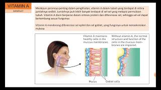 Biokimia  Vitamin 2 [upl. by Stewardson713]
