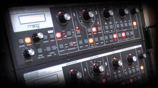 Two Moog Slim Phatty in daisy chain  Duophonic  Tetris C [upl. by Cheke]