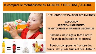 Le FRUCTOSE est lALCOOL des enfants et des adultes [upl. by Oidivo768]