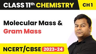 Molecular Mass and Gram Mass  Class 11 Chemistry Chapter 1  NCERTJEENEET 202223 [upl. by Duax]