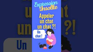 Appeler un chat un chat expression fle expressionfrançaise languefrançaise chats vérité franc [upl. by Cantone]