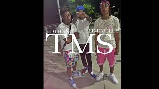 Lee drilly x Dthang  TMS mixedbyj5 prod by tyfrmdao [upl. by Joliet358]