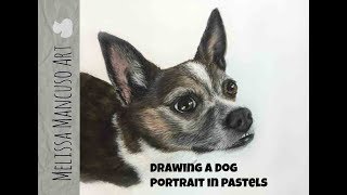 How to Draw a Dog in Pastel Pencils  Melissa Mancuso Fine Art [upl. by Fiske]