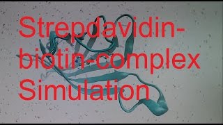 Streptavidinbiotincomplex simulation [upl. by Hermione]