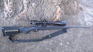 First Shots Remington 700 ADL 308 Win Rifle HD [upl. by Obola]