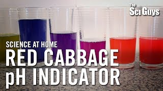 The Sci Guys Science at Home  SE2  EP4 Red Cabbage pH Indicator  Acid Base Indicator [upl. by Arreit]