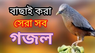 Bengali Islamic naat  amazing Islamic song  ইসলামিক সেরা গজল  bangla new gojol  New gojol [upl. by Enimajneb288]