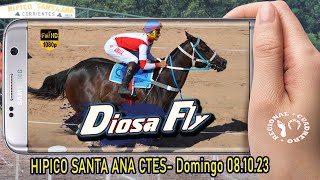 DIOSA FLYClasico Interprovincial Hipico Santa Ana Ctes 081023 [upl. by Donovan703]